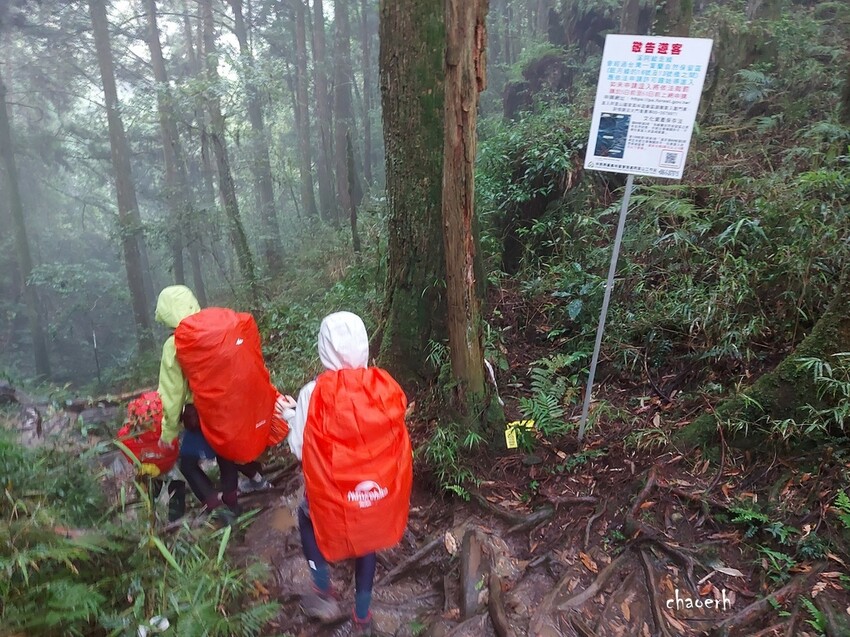 【登山 2天1夜】水漾森林➨鹿屈山➨鹿屈山前鋒 逆向O行縱