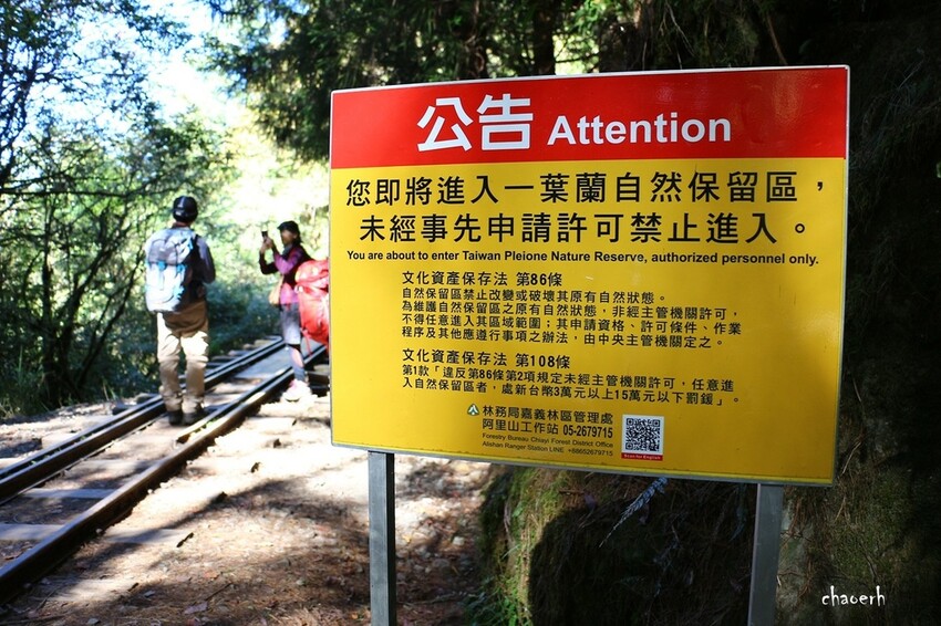 【健行】阿里山眠月線 森林鐵道
