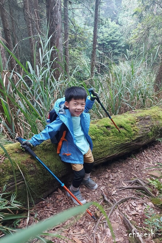 【登山 2天1夜】水漾森林➨鹿屈山➨鹿屈山前鋒 逆向O行縱