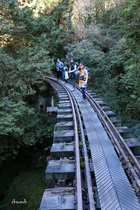 【健行】阿里山眠月線 森林鐵道