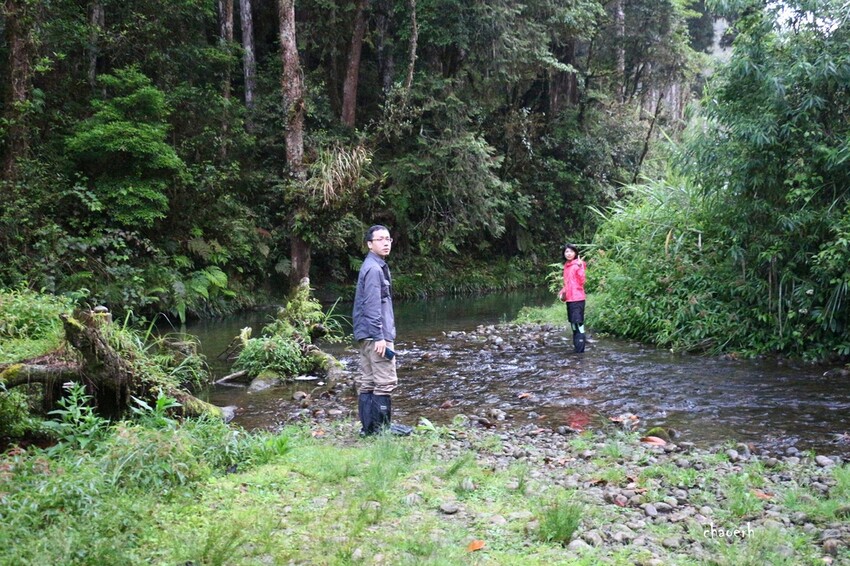 水漾森林餐宿-布農卡里布灣登山隊 一泊二餐《 帳篷•晚餐•早 水漾森林餐宿-布農卡里布灣登山隊 一泊二餐《 帳篷•晚餐•早