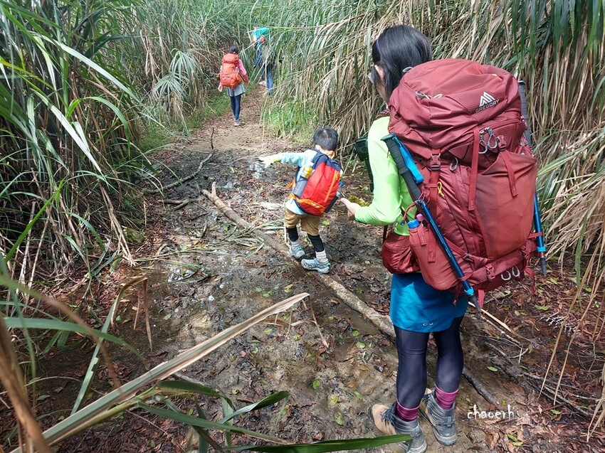 【登山 2天1夜】水漾森林➨鹿屈山➨鹿屈山前鋒 逆向O行縱