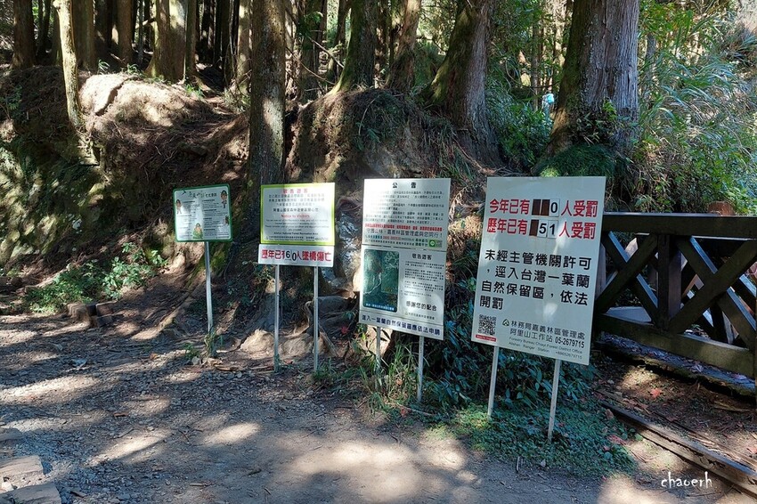 【健行】阿里山眠月線 森林鐵道