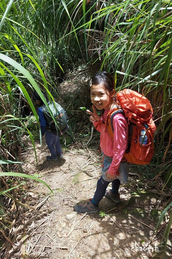 【登山 2天1夜】水漾森林➨鹿屈山➨鹿屈山前鋒 逆向O行縱