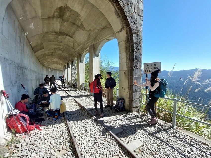【健行】阿里山眠月線 森林鐵道