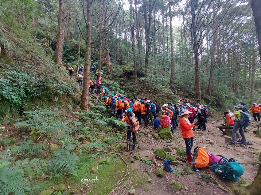 【登山 2天1夜】水漾森林➨鹿屈山➨鹿屈山前鋒 逆向O行縱