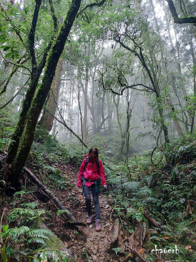 【登山 2天1夜】水漾森林➨鹿屈山➨鹿屈山前鋒 逆向O行縱