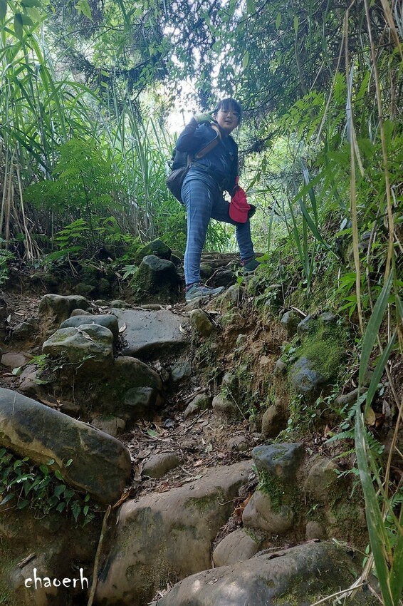 【登山 2天1夜】水漾森林➨鹿屈山➨鹿屈山前鋒 逆向O行縱