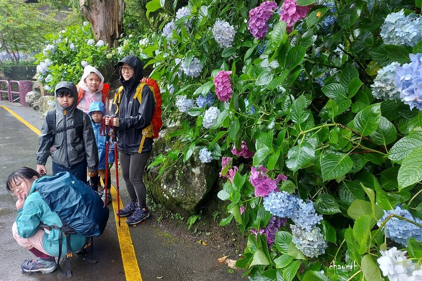 【登山 2天1夜】水漾森林➨鹿屈山➨鹿屈山前鋒 逆向O行縱