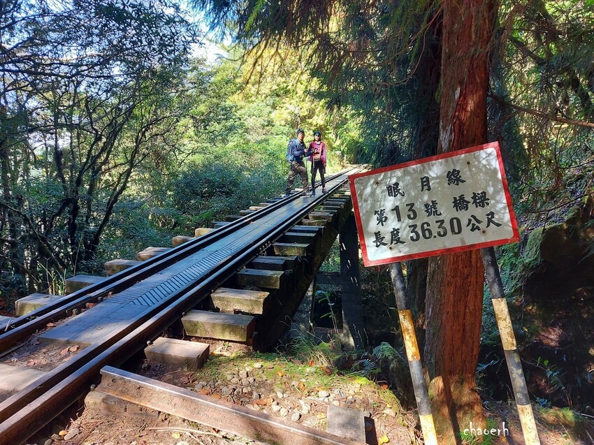 【健行】阿里山眠月線 森林鐵道