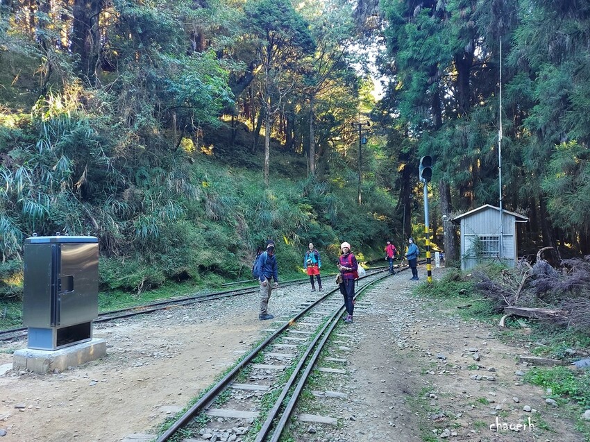【健行】阿里山眠月線 森林鐵道