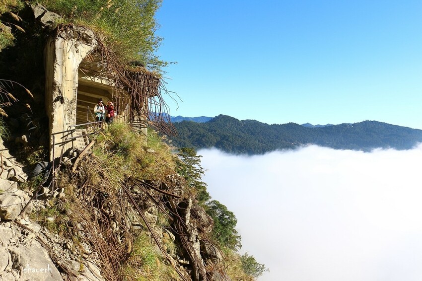 【健行】阿里山眠月線 森林鐵道