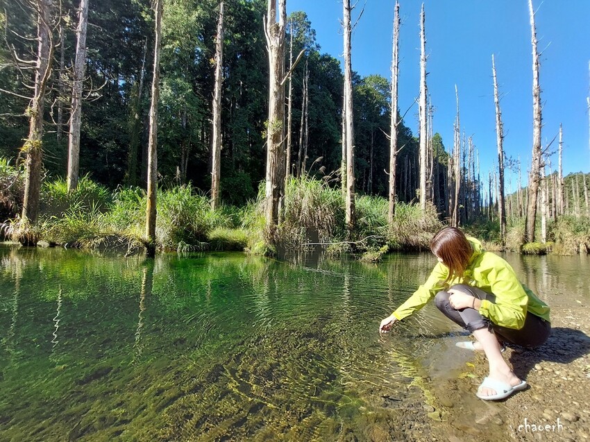 【登山 2天1夜】水漾森林➨鹿屈山➨鹿屈山前鋒 逆向O行縱