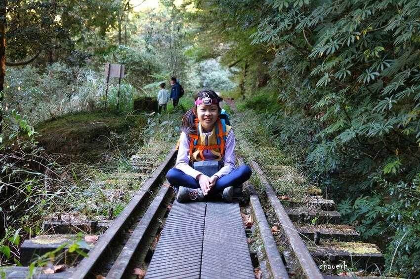 【健行】阿里山眠月線 森林鐵道