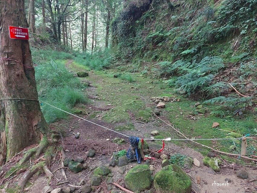 【登山 2天1夜】水漾森林➨鹿屈山➨鹿屈山前鋒 逆向O行縱