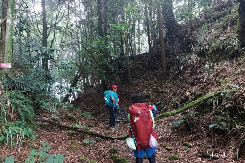 【登山 2天1夜】水漾森林➨鹿屈山➨鹿屈山前鋒 逆向O行縱