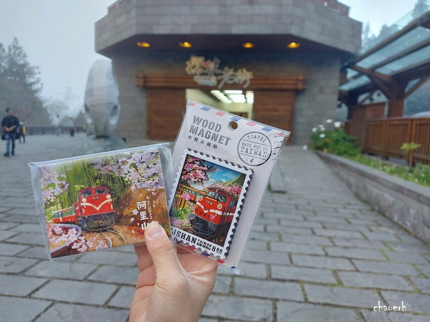 【健行】阿里山眠月線 森林鐵道