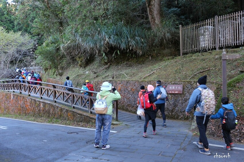 【健行】阿里山眠月線 森林鐵道