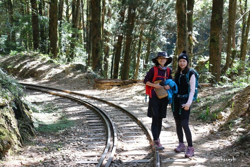 【健行】阿里山眠月線 森林鐵道