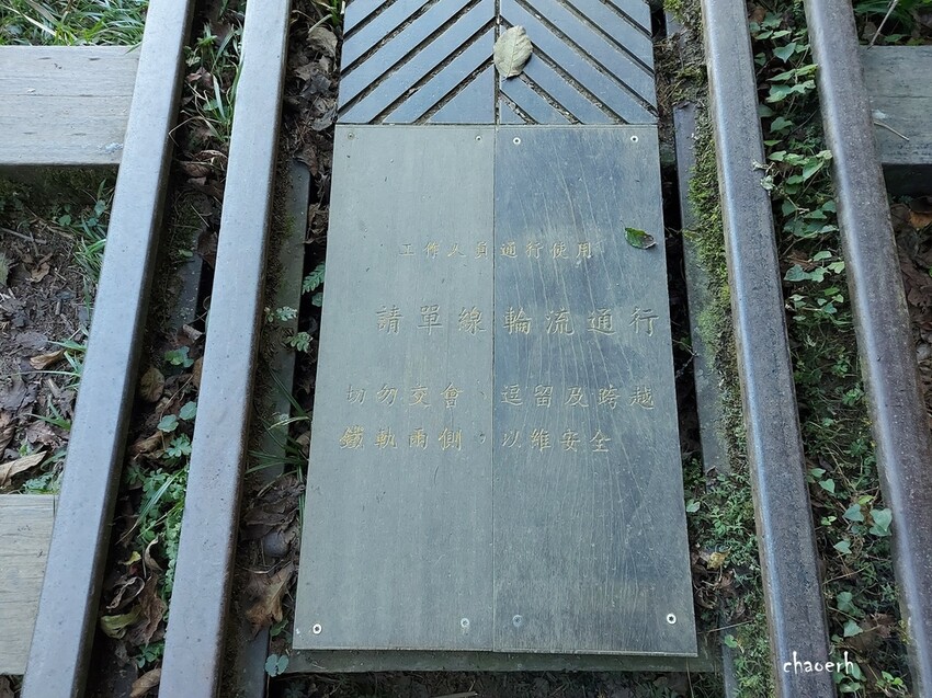 【健行】阿里山眠月線 森林鐵道