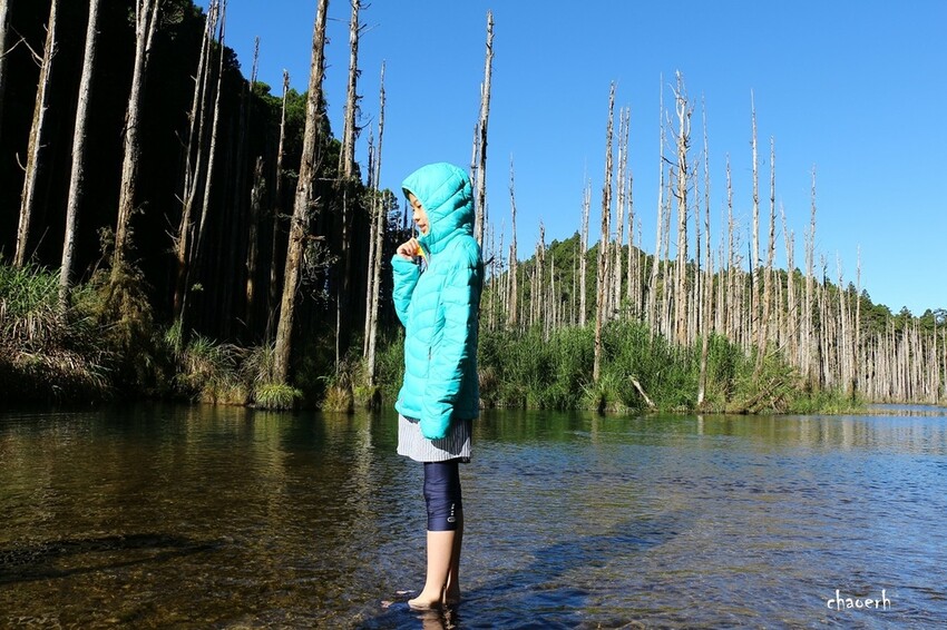 【登山 2天1夜】水漾森林➨鹿屈山➨鹿屈山前鋒 逆向O行縱