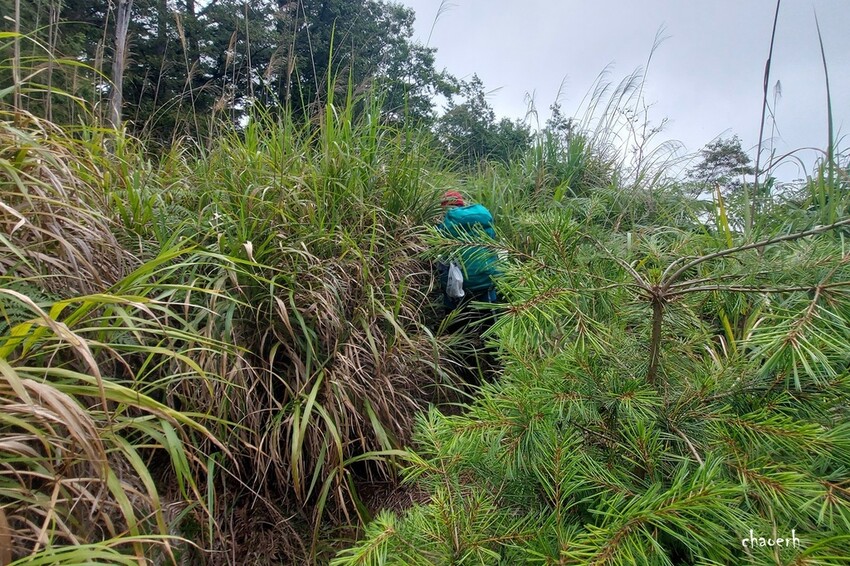 【登山 2天1夜】水漾森林➨鹿屈山➨鹿屈山前鋒 逆向O行縱