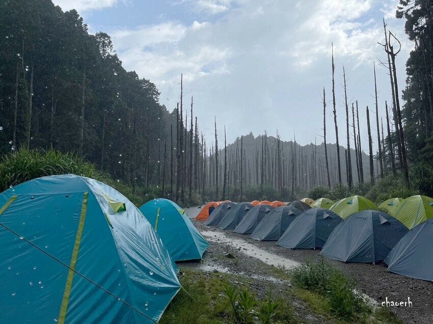 LINE_ALBUM_20230708 水漾森林_230711_120.jpg