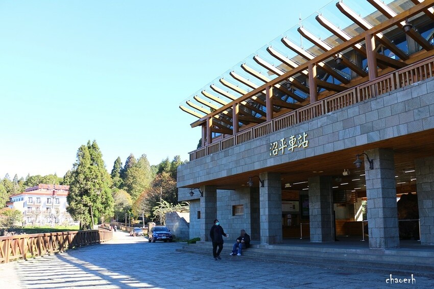 【健行】阿里山眠月線 森林鐵道