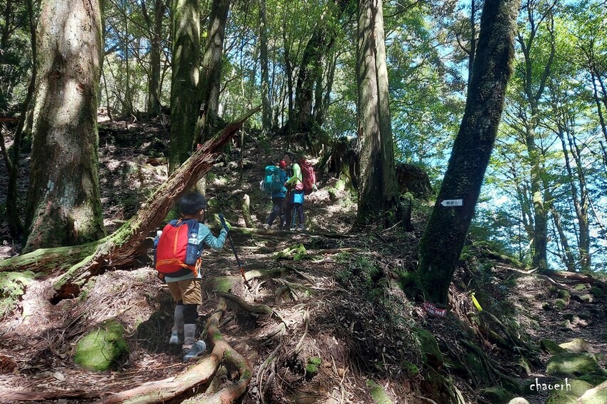 【登山 2天1夜】水漾森林➨鹿屈山➨鹿屈山前鋒 逆向O行縱