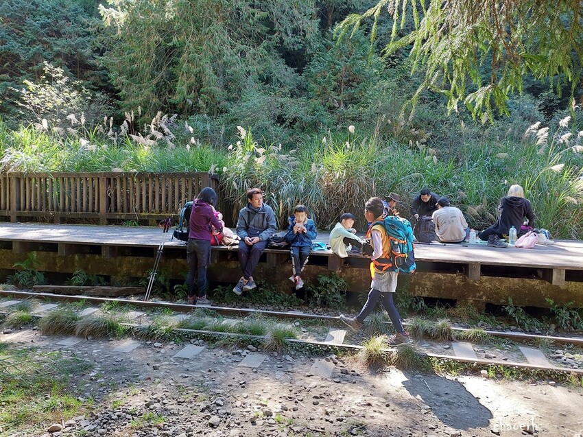 【健行】阿里山眠月線 森林鐵道