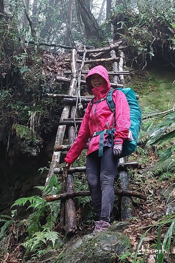 【登山 2天1夜】水漾森林➨鹿屈山➨鹿屈山前鋒 逆向O行縱