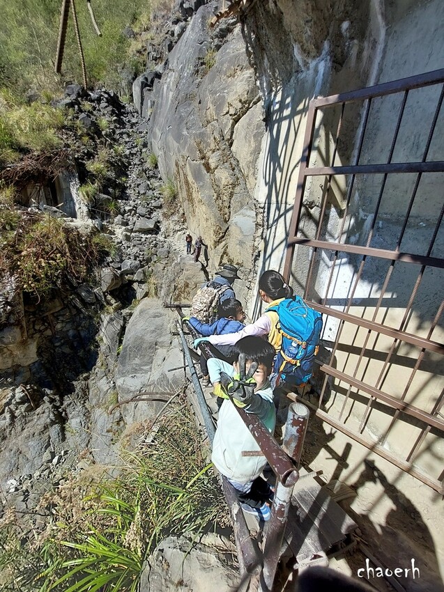 【健行】阿里山眠月線 森林鐵道
