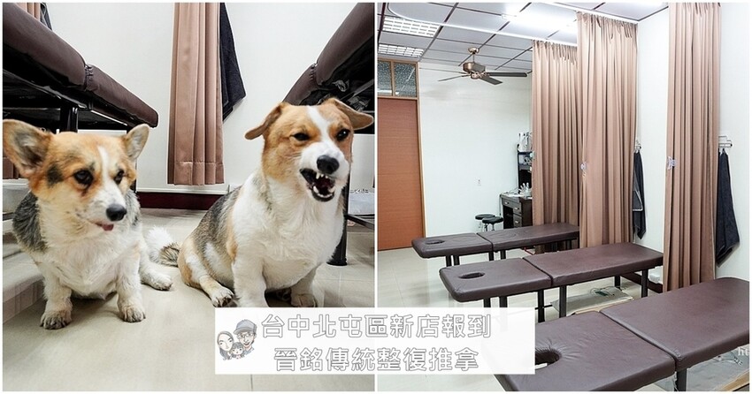 晉銘傳統整復推拿忙碌的上班族、媽媽們紓解筋骨的好所在，可愛店狗陪伴好療癒台中北屯區新店報到page.jpg