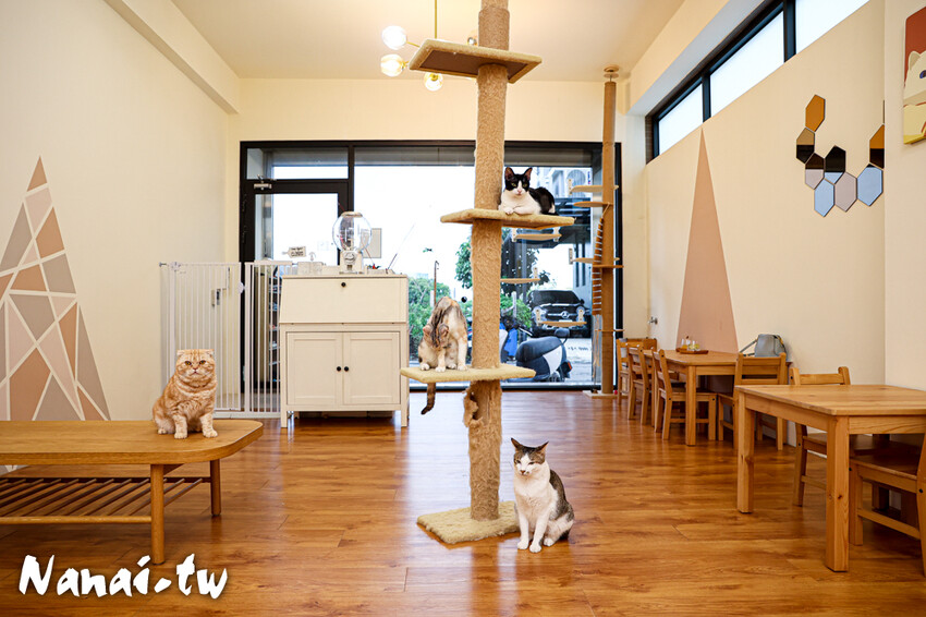 員林玩一日?在地人推薦5家必吃美食，還有夾零食和貓咪互動餵食 - Nana愛旅行札記