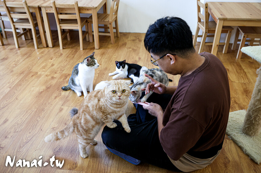 員林玩一日?在地人推薦5家必吃美食，還有夾零食和貓咪互動餵食 - Nana愛旅行札記
