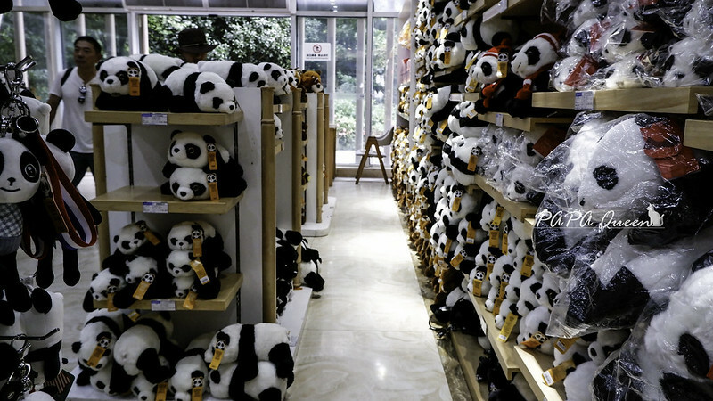 成都旅行 熊貓谷 沿著山林與熊貓偶遇，加碼推薦4個熊貓基地