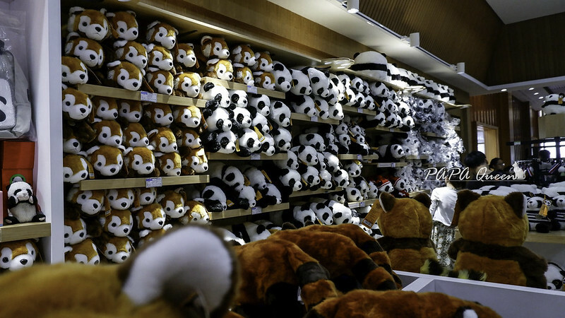 成都旅行 熊貓谷 沿著山林與熊貓偶遇，加碼推薦4個熊貓基地