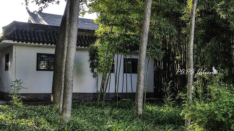 成都景點｜文殊院  Wenshu Yuan Monastery 佛寺