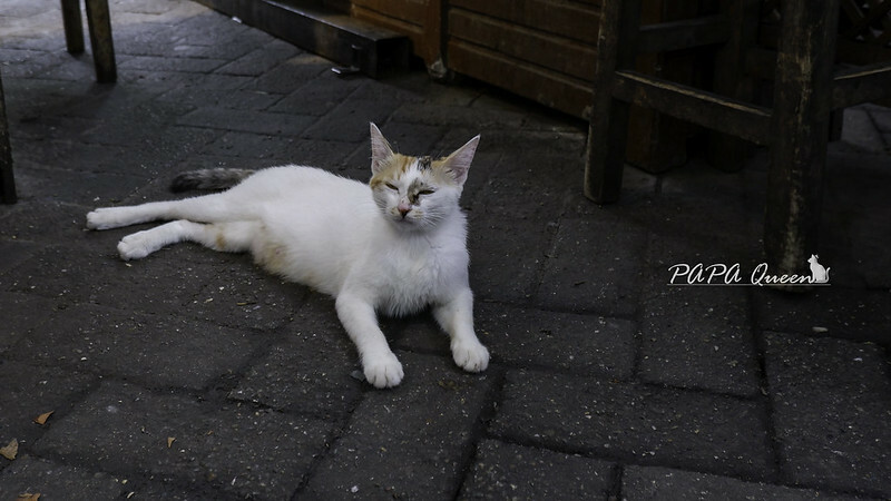 成都景點｜武侯祠 錦里古街 古街道上的繁華小橋流水