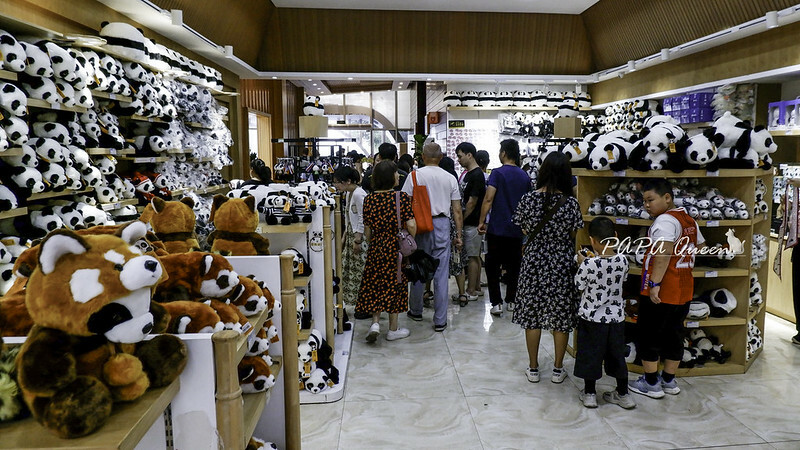 成都旅行 熊貓谷 沿著山林與熊貓偶遇，加碼推薦4個熊貓基地