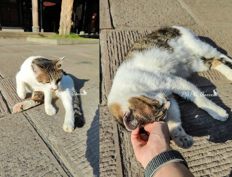 成都景點｜文殊院  Wenshu Yuan Monastery 佛寺