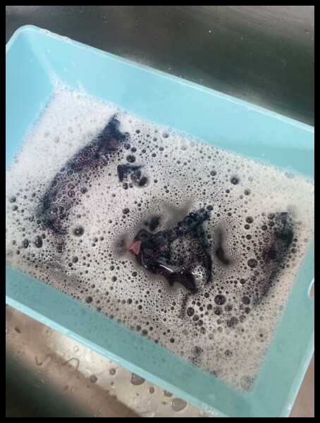 【貼身衣物手洗精開箱/手洗精推薦】【莉蕾舒Laegis 】伯