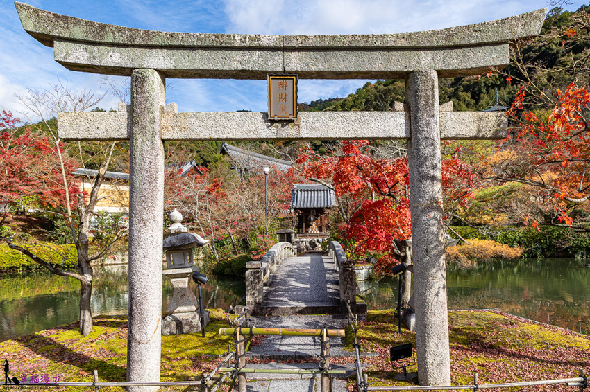 永觀堂(禪林寺)|京都日本–京都著名的賞楓景點,超美的顏色堆疊如同置身畫中