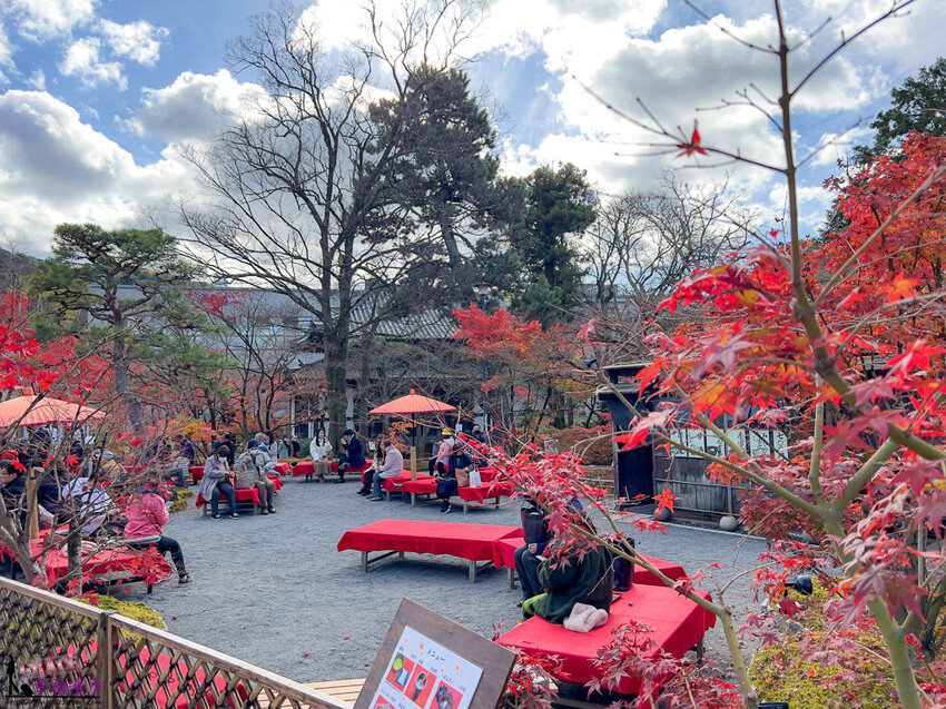 永觀堂(禪林寺)|京都日本–京都著名的賞楓景點,超美的顏色堆疊如同置身畫中