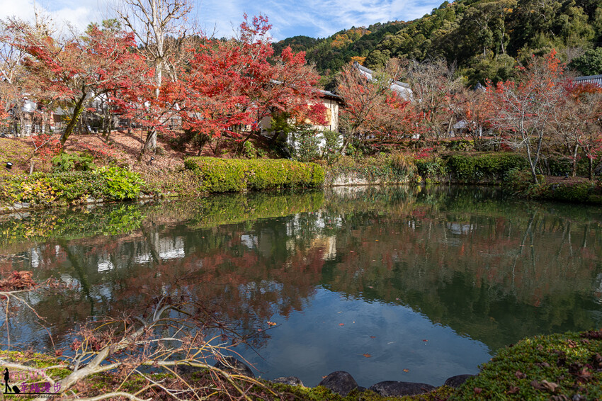 永觀堂(禪林寺)|京都日本–京都著名的賞楓景點,超美的顏色堆疊如同置身畫中