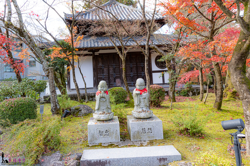 永觀堂(禪林寺)|京都日本–京都著名的賞楓景點,超美的顏色堆疊如同置身畫中