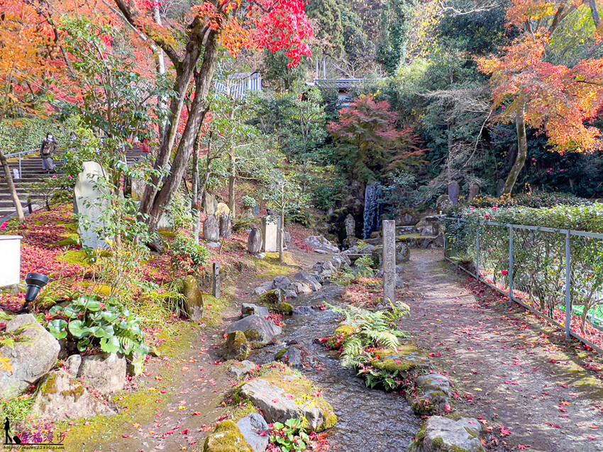 永觀堂(禪林寺)|京都日本–京都著名的賞楓景點,超美的顏色堆疊如同置身畫中