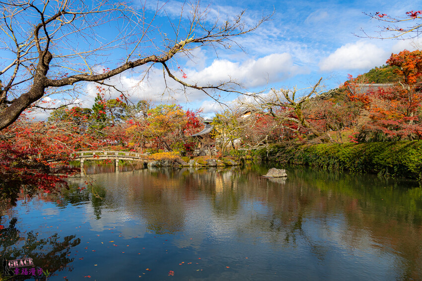 永觀堂(禪林寺)|京都日本–京都著名的賞楓景點,超美的顏色堆疊如同置身畫中