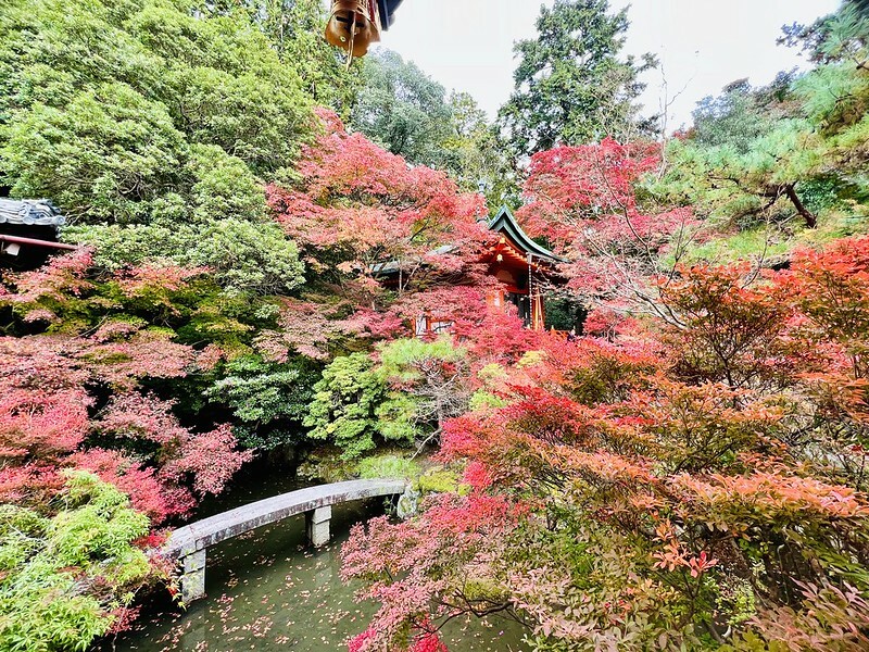 【亞洲，日本】京都紅葉名所～毘沙門堂 門跡 紅葉階梯。（京都賞楓/京都景點）