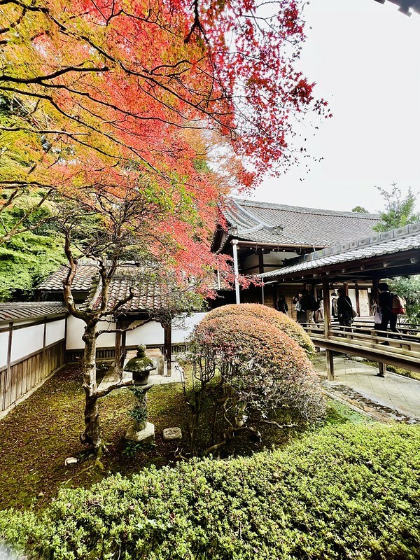 【亞洲，日本】京都紅葉名所～毘沙門堂 門跡 紅葉階梯。（京都賞楓/京都景點）